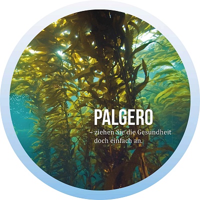 ueberall_Palgero_Seacell